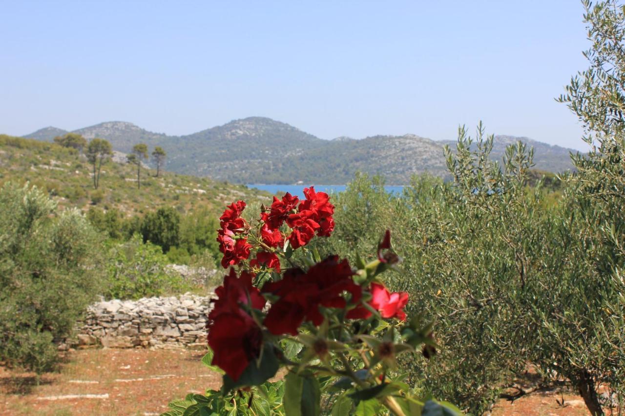 Secluded Fisherman'S Cottage Cove Jaz - Telascica, Dugi Otok - 876 Сали Экстерьер фото