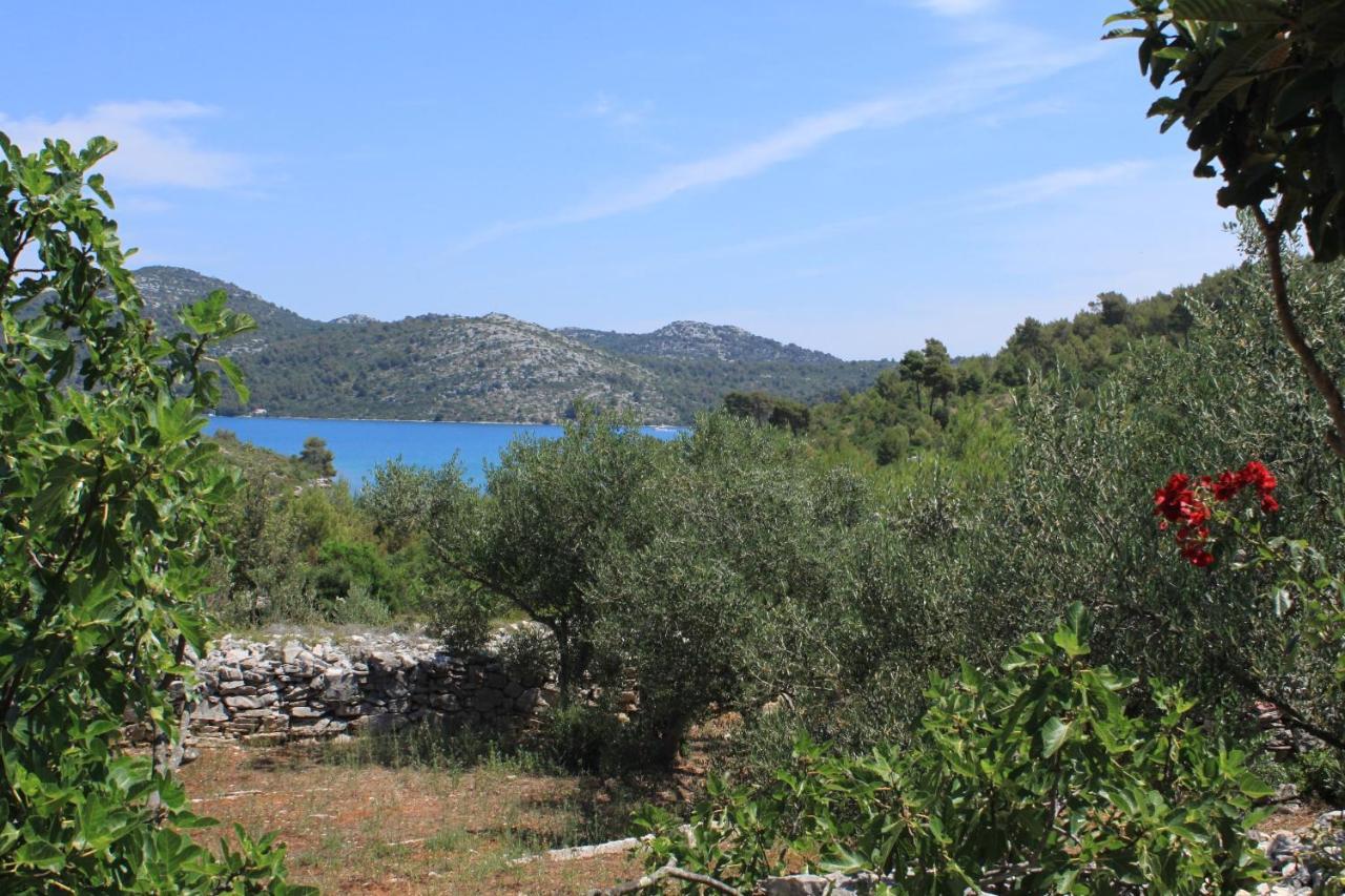 Secluded Fisherman'S Cottage Cove Jaz - Telascica, Dugi Otok - 876 Сали Экстерьер фото
